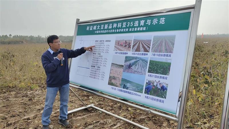 耐鹽大豆新品系完成實收測產 畝產達270公斤以上 耐鹽大豆新品系完成實收測產 畝產達270公斤以上
