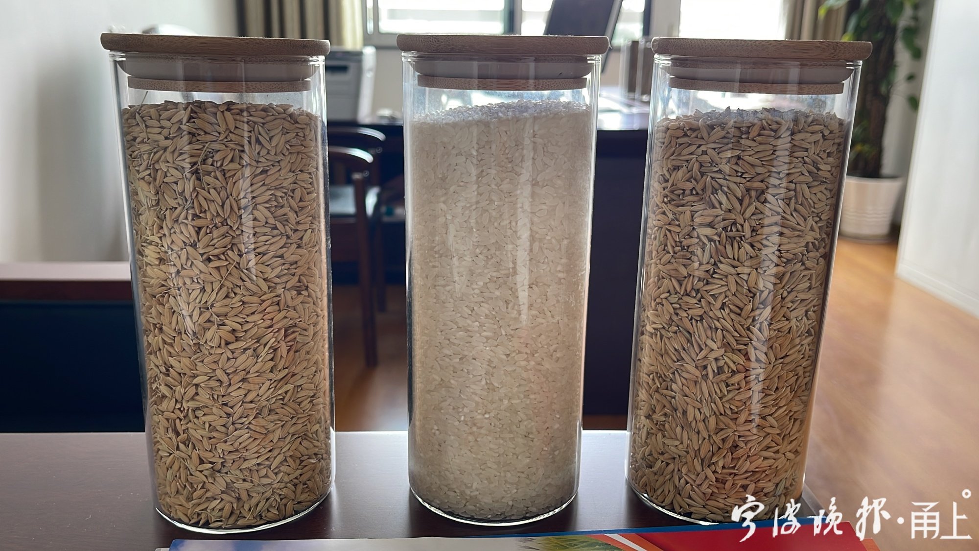 農(nóng)業(yè)農(nóng)村部：兩年來清理“仿種子”問題品種829個(gè)