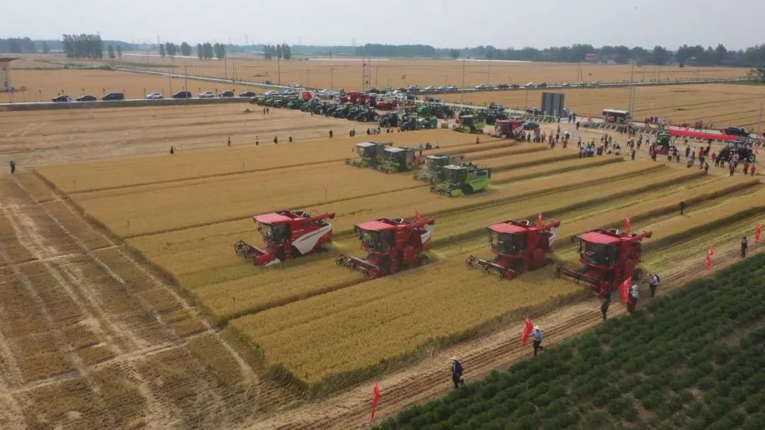 結構優(yōu)化！一批重要農(nóng)機裝備實現(xiàn)國產(chǎn)化替代