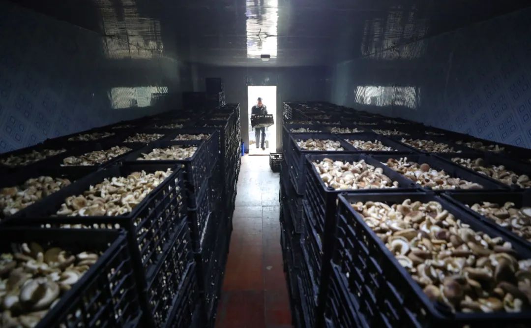 現(xiàn)代農(nóng)業(yè)產(chǎn)業(yè)園，如何撬動(dòng)3800多億元社會(huì)投資？