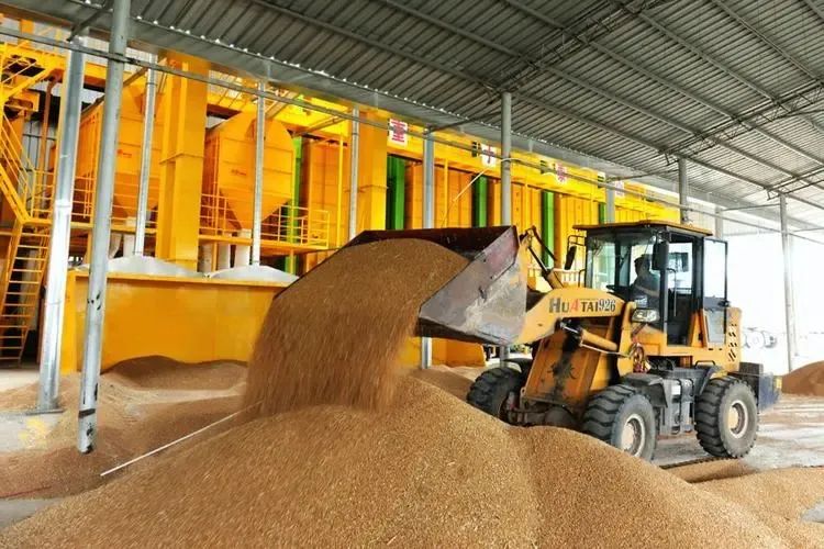 補上糧食產地烘干機械化短板 補上糧食產地烘干機械化短板
