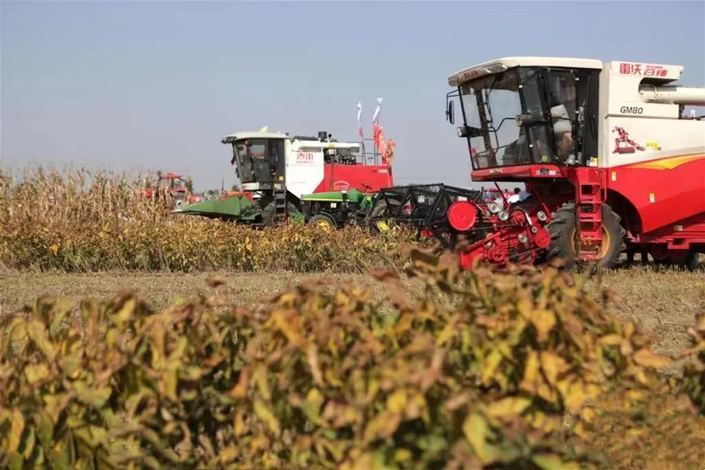 農機手培訓納入專項行動!農業農村部部署一項重要工作 農機手培訓納入專項行動!農業農村部部署一項重要工作