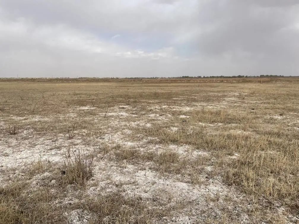 陜西榆林：6000余畝高標準農田，緣何撂荒7年？