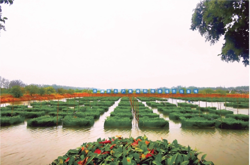 仙桃:一個百億級黃鱔產業(yè)鏈正在形成 仙桃:一個百億級黃鱔產業(yè)鏈正在形成