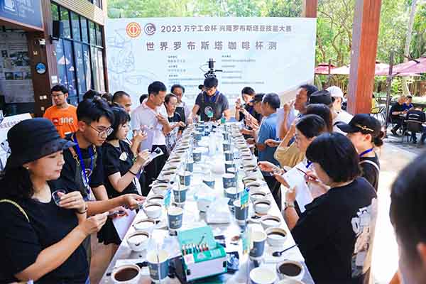 2023萬寧工會杯興隆羅布斯塔豆技能大賽在海南熱帶植物園精彩上演 2023萬寧工會杯興隆羅布斯塔豆技能大賽在海南熱帶植物園精彩上演