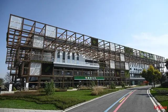 3.36億畝近8億噸！《2023年中國蔬菜產(chǎn)業(yè)發(fā)展報(bào)告》發(fā)布