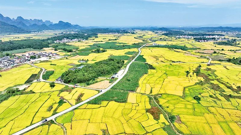 中央農(nóng)辦:有力有效推進鄉(xiāng)村全面振興 中央農(nóng)辦:有力有效推進鄉(xiāng)村全面振興