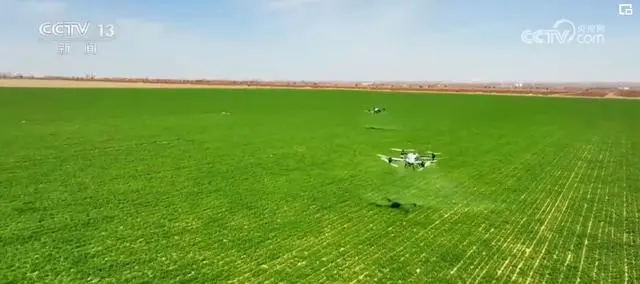 央視網:一季度我國農業農村經濟保持良好發展勢頭 央視網:一季度我國農業農村經濟保持良好發展勢頭