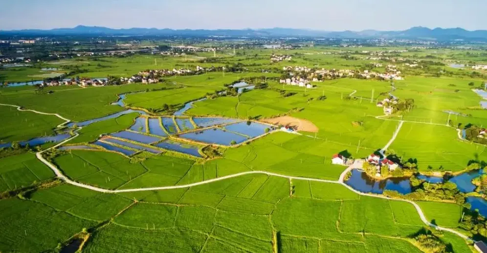 經(jīng)濟日報:金融加快賦能鄉(xiāng)村振興 經(jīng)濟日報:金融加快賦能鄉(xiāng)村振興